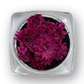Ukrasno cveće za nokte - Tamno pink hrizantema