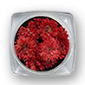 Ukrasno cveće za nokte - Crvena hrizantema