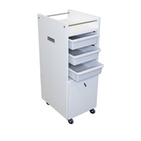 Frizerska kolica Salon Ambience Style White Ash