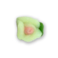 Ukras za nokte - Zeleni 3D cvet sa tri latice
