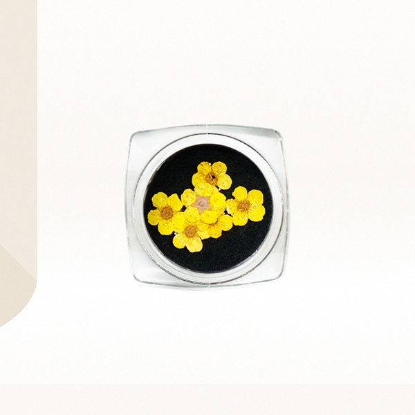 Ukrasno cveće za nokte - Žuta detelina