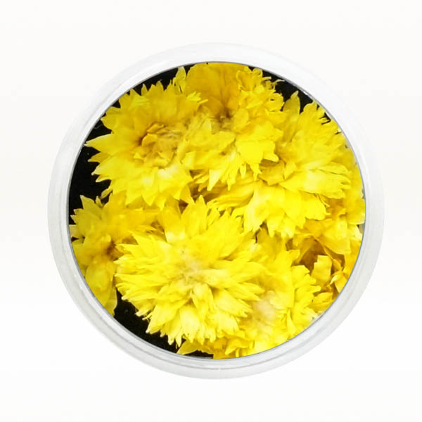 Ukrasno cveće za nokte - Žuta hrizantema