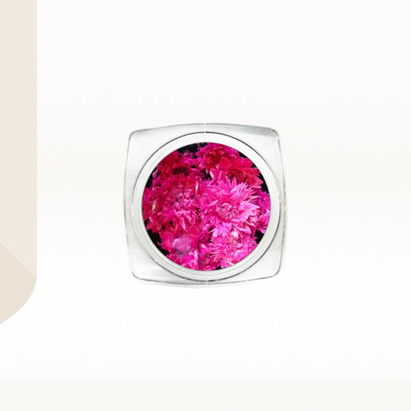 Ukrasno cveće za nokte - Svetlo pink hrizantema