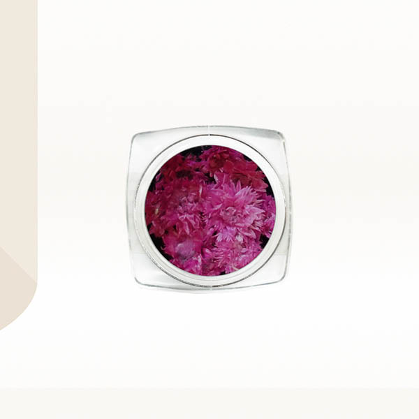 Ukrasno cveće za nokte - Tamno pink hrizantema