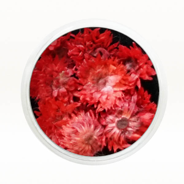 Ukrasno cveće za nokte - Crvena hrizantema