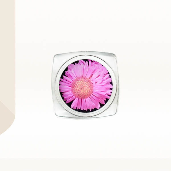 Ukrasno cveće za nokte - Pink krasuljak