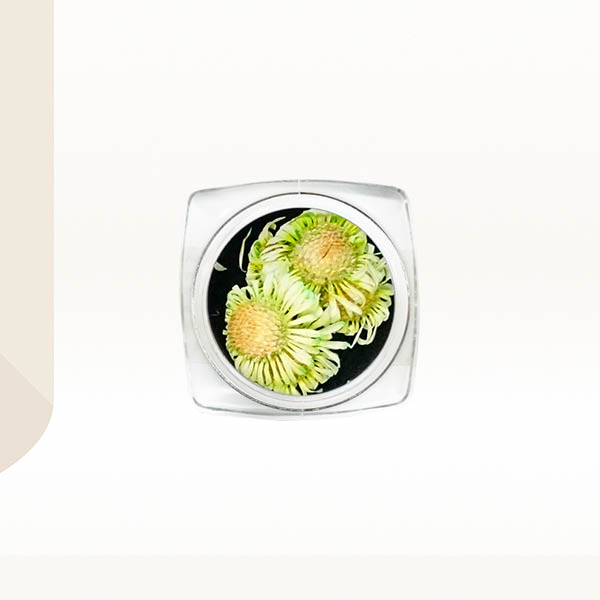 Ukrasno cveće za nokte - Zeleni krasuljak