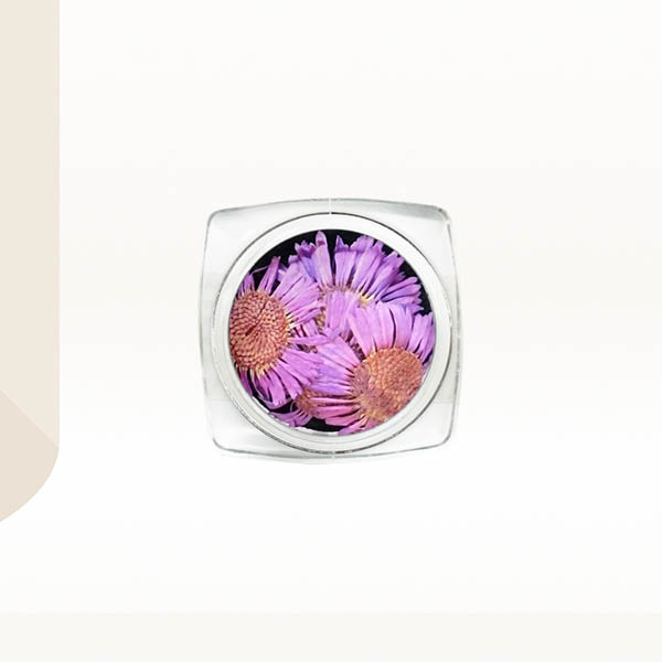 Ukrasno cveće za nokte - Ljubičasti krasuljak